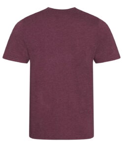 awdis Triblend T - Image 5