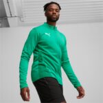 Puma PUMA Team Goal Training Jacket Sport Green