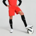 Puma PUMA Team Liga Shorts Puma Red
