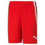 PUMA Team Liga Shorts - Image 6