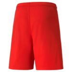 PUMA Team Liga Shorts - Image 7