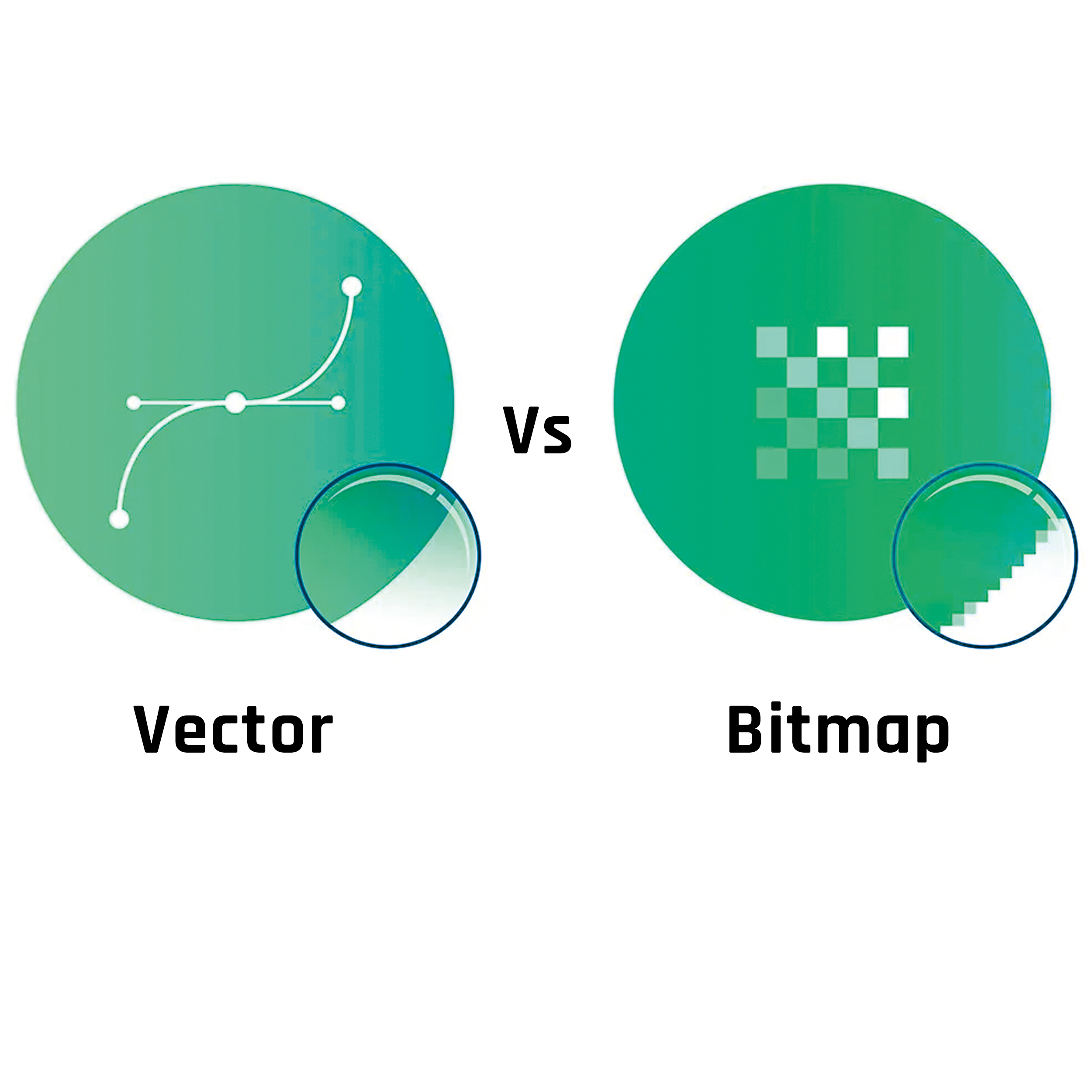vector vs bitmap