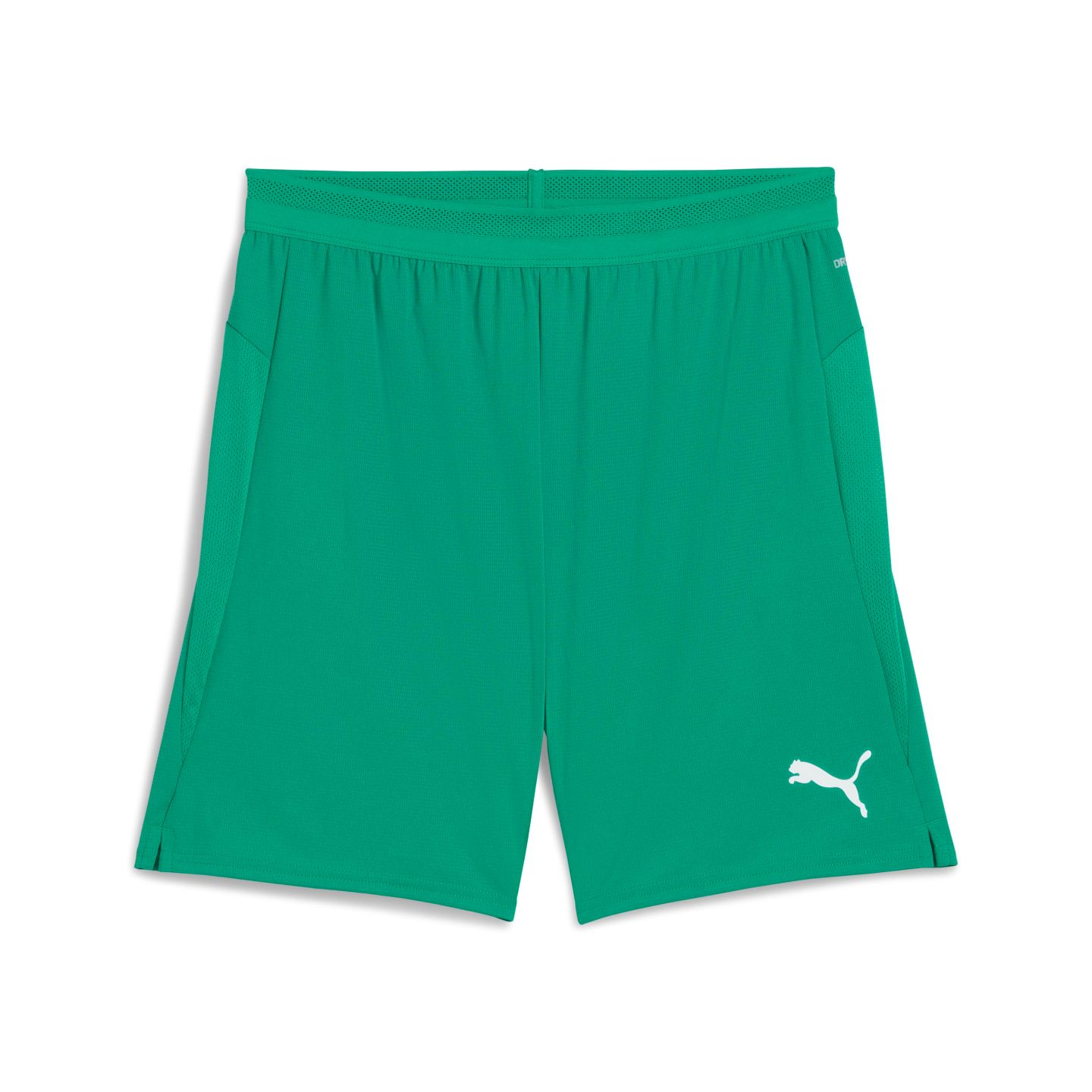 Puma Puma TeamCUP Shorts Sport Green